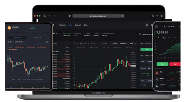 Digital Services Platform